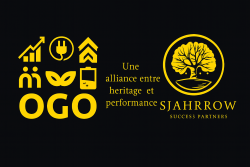 OGO Group Logo